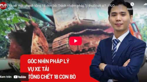 Truck loses brakes and kills 18 cows: Who bears the legal responsibility?