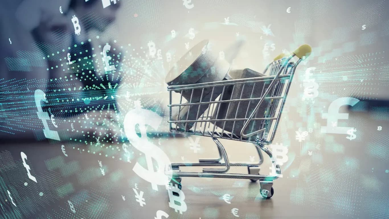 Launched e-commerce platform for an Indian investor