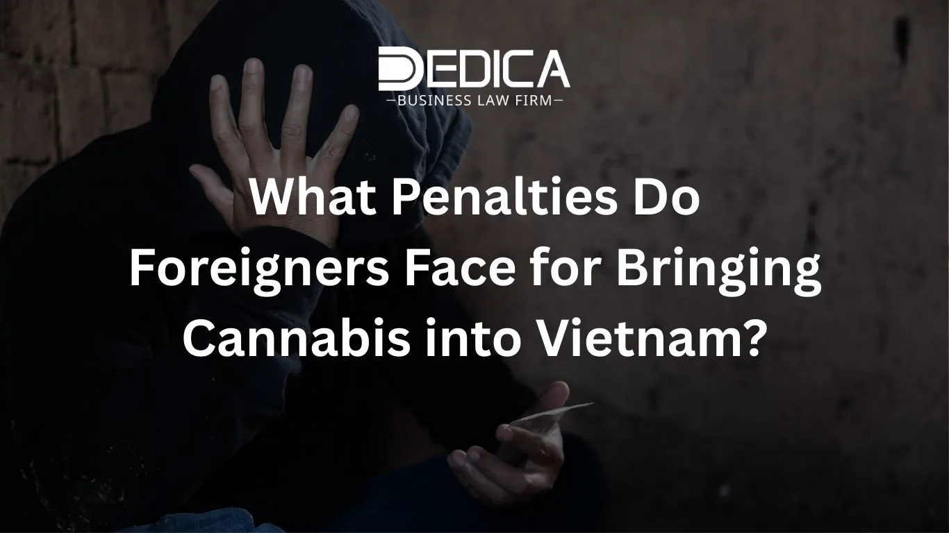 What Penalties Do Foreigners Face for Bringing Cannabis into Vietnam?
