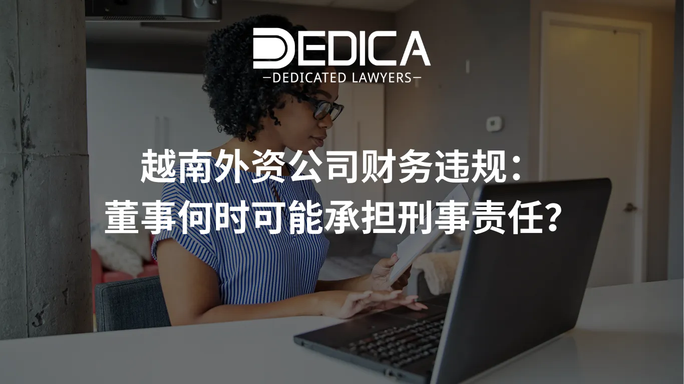 越南外资公司财务违规:董事何时可能承担刑事责任?