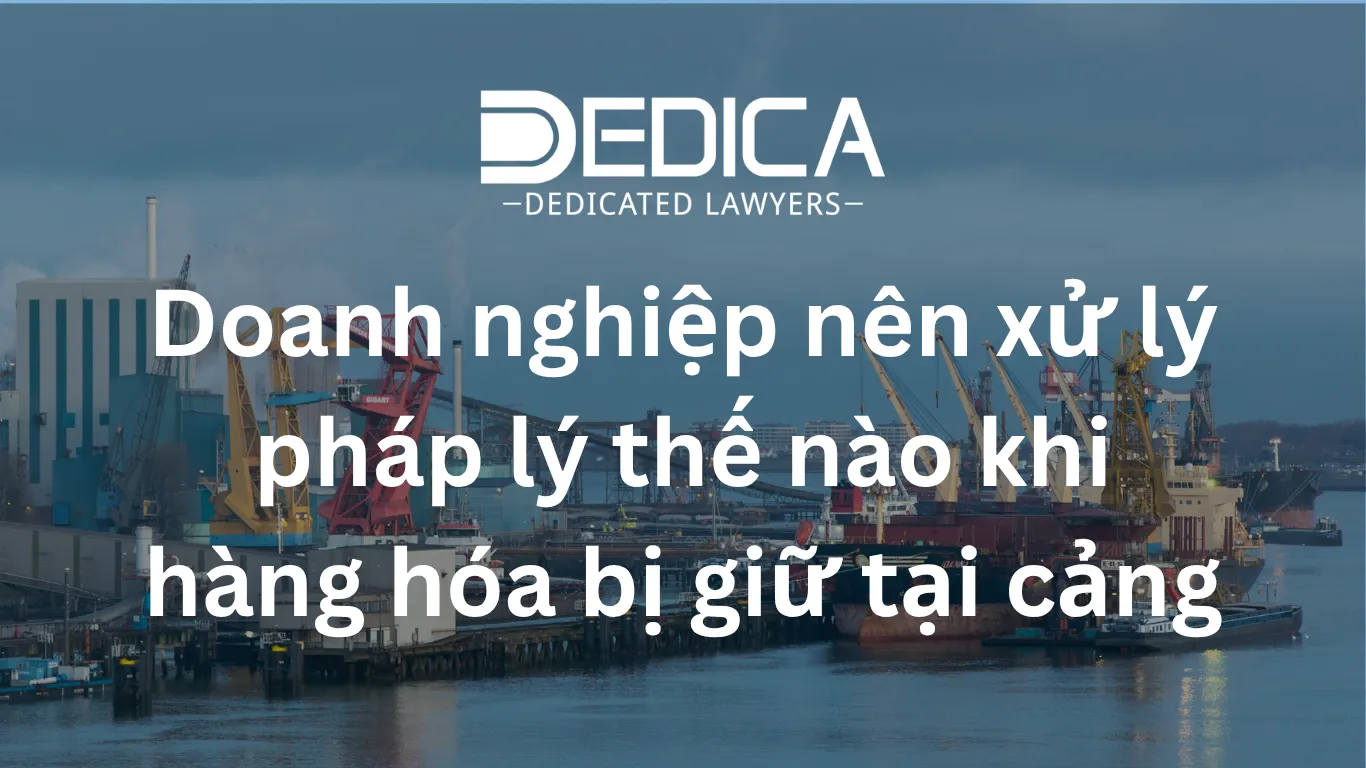 Doanh nghiệp nên xử lý pháp lý thế nào khi hàng hóa bị giữ tại cảng