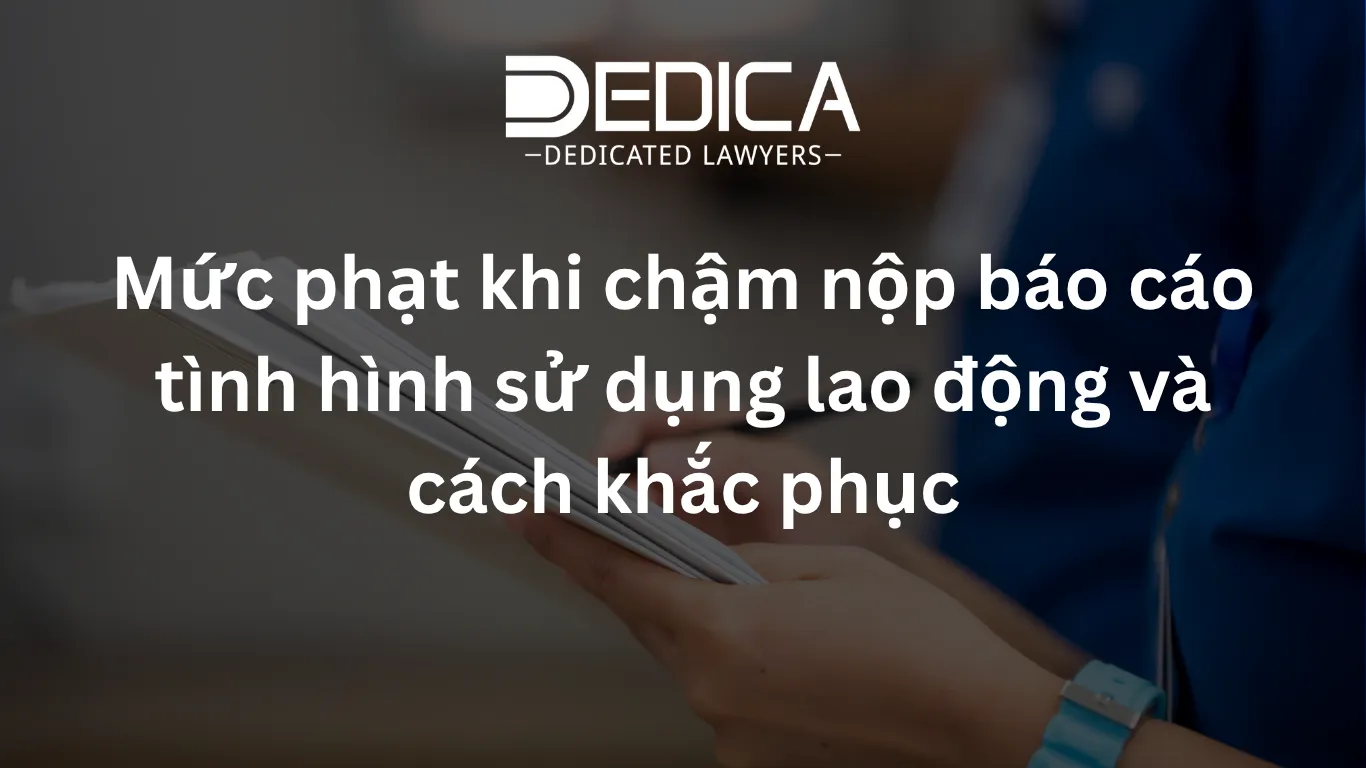 Mức phạt khi chậm nộp báo cáo tình hình sử dụng lao động và cách khắc phục