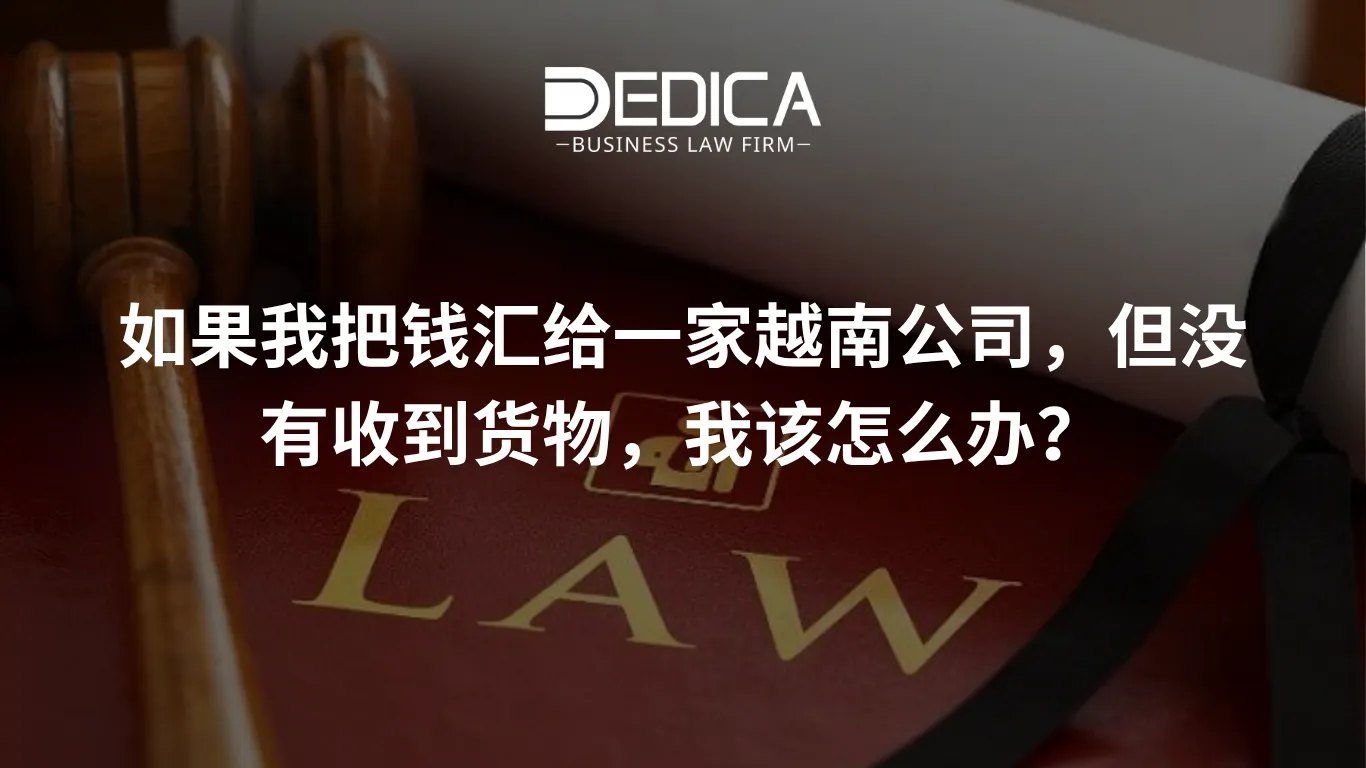 如果我把钱汇给一家越南公司,但没有收到货物,我该怎么办?