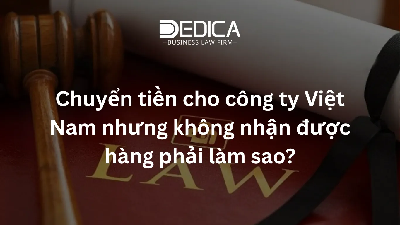 Chuyển tiền cho công ty Việt Nam nhưng không nhận được hàng phải làm sao?
