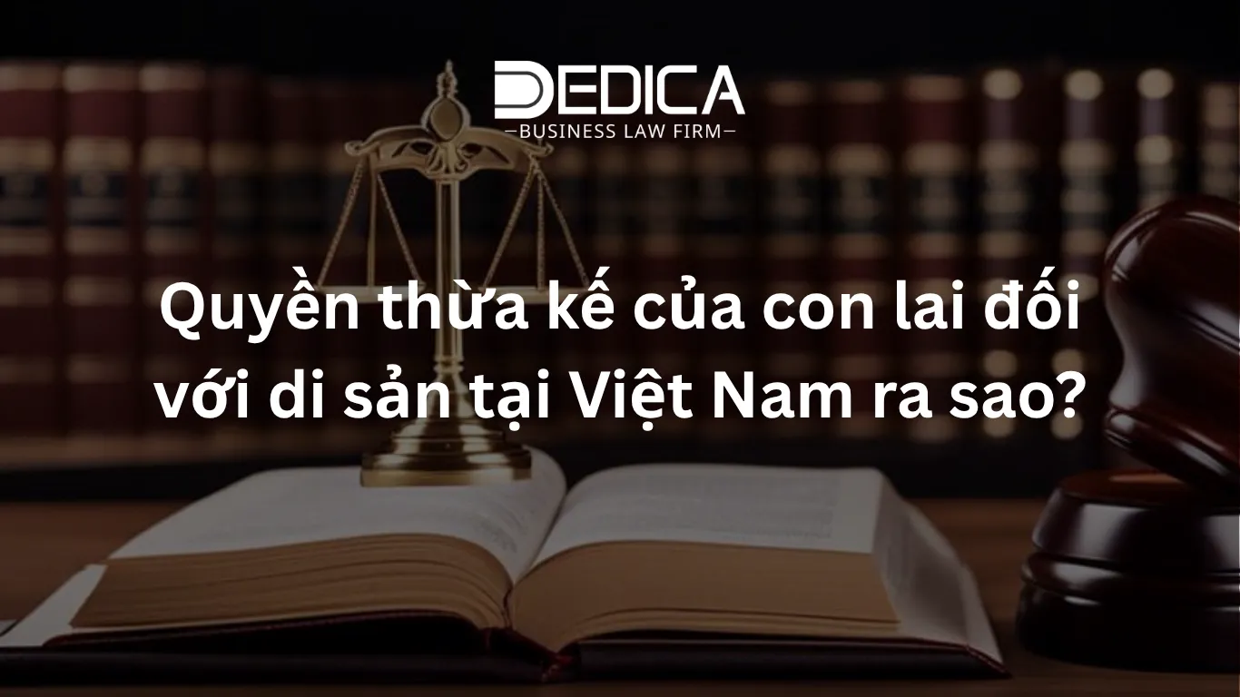 Quyền thừa kế của con lai đối với di sản tại Việt Nam ra sao?