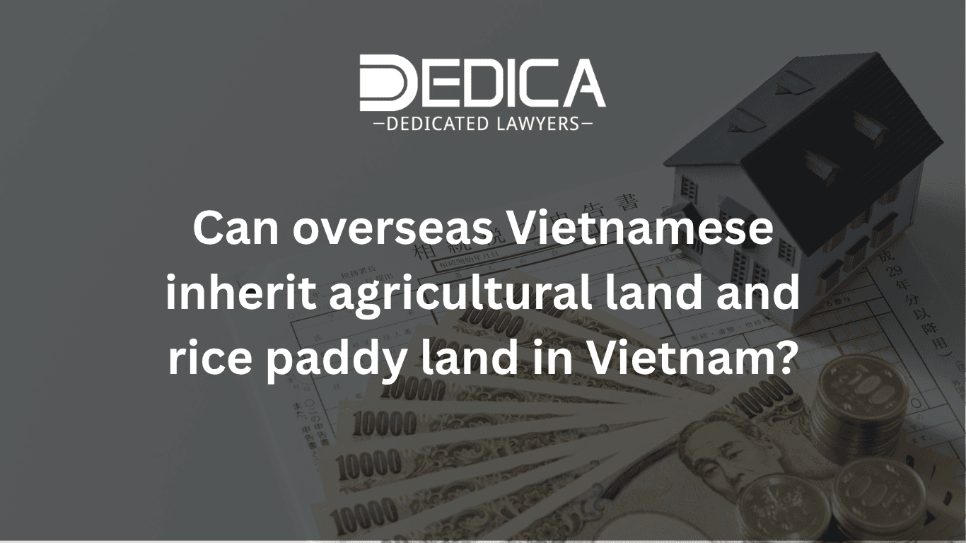 Can Overseas Vietnamese Inherit Agricultural and Rice Land in Vietnam?
