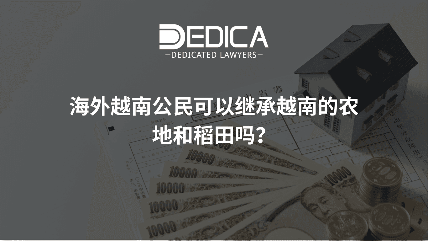 海外越南人能否在越南继承农业用地和水稻田?