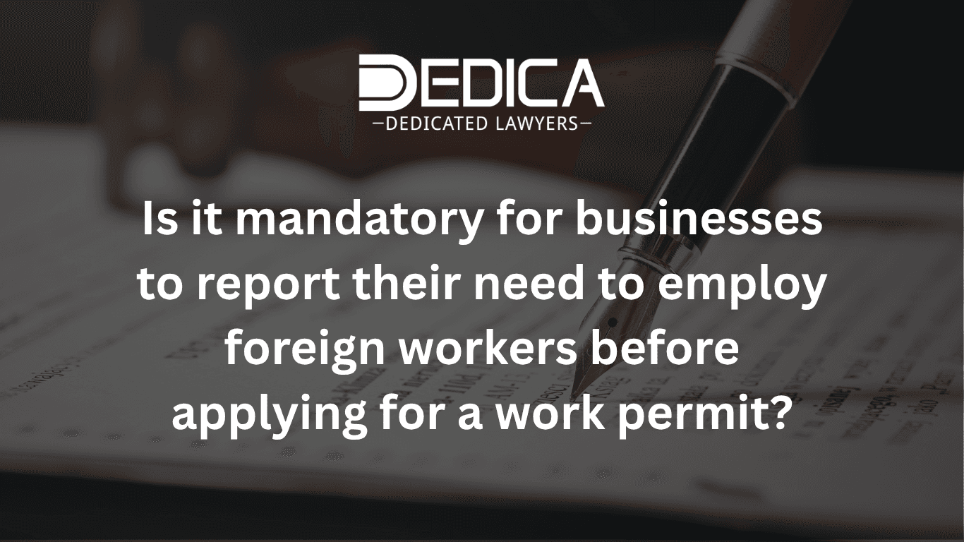 Explaining Foreign Labor Demand Before Applying for a Work Permit